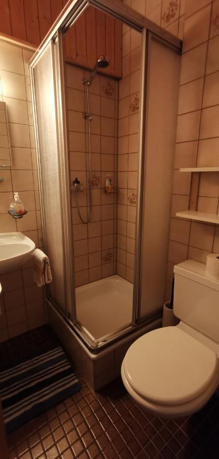 B&B Pension Laerch Obergesteln Exterior foto